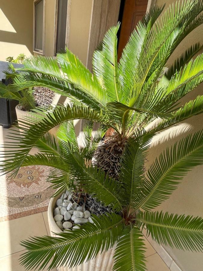 Holiday home Ancora Del Salento *