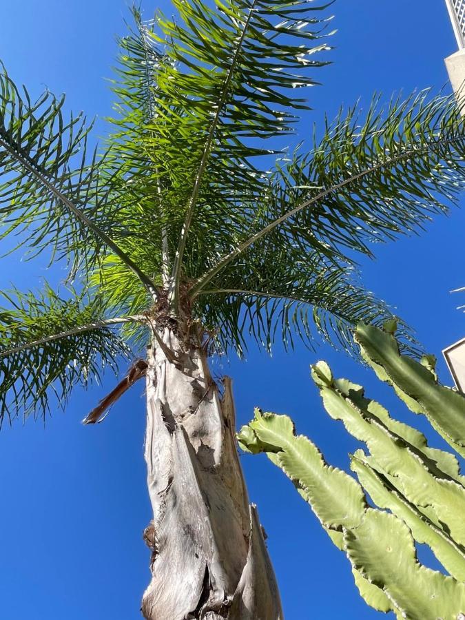 Ancora Del Salento Hébergement de vacances *